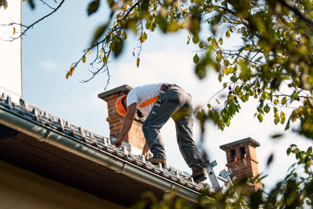Best Roof Restoration Services  in Inglenook, CT