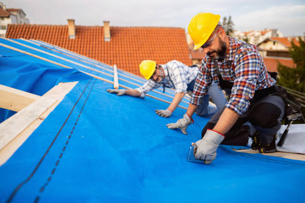 Best Roof Gutter Cleaning  in Inglenook, CT